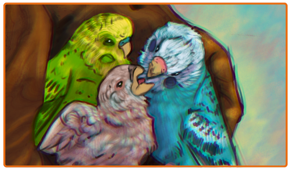 A baby budgie with its parents in a tree hollow.