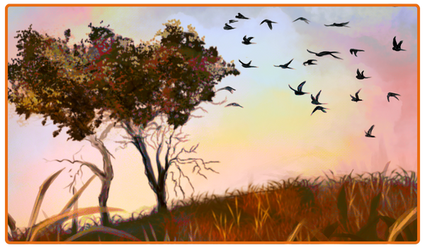 Birds fly over a wild savannah.