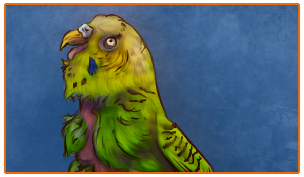 A captive budgie struggles with plucked feathers.