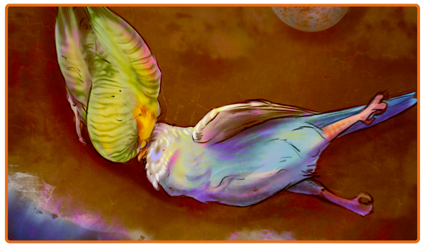 A wild budgie dies with their family.
